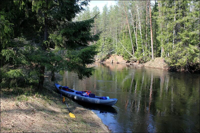 Погода на месяц хвойная новгородская