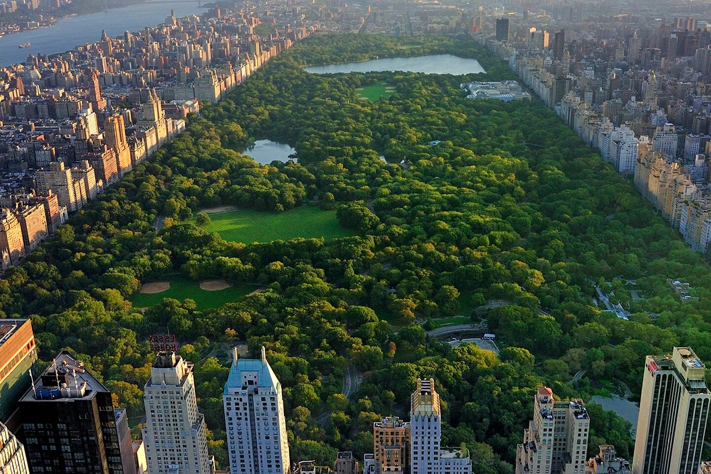 Вид на централ парк нью йорк. Центральный парк, нью йорк, сша. Central park is. Нью-йорк манхэттен центральный парк. Центральный парк, нью йорк, сша.