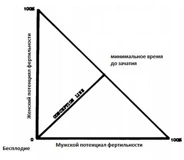 Повышение фертильности у мужчин