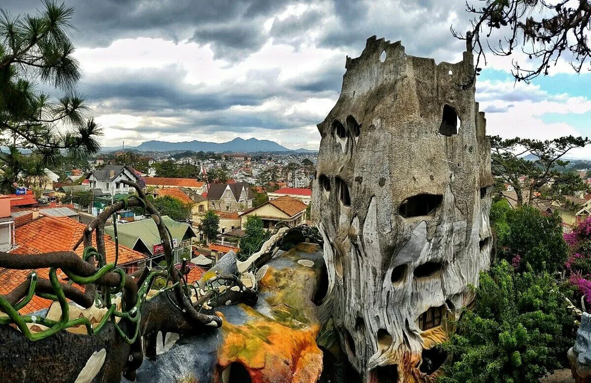 Приобретали причудливые. Далат crazy house. Отель в далате crazy house. Кебрачо дерево. Гигантские каменные грибы.