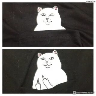Кот ааа