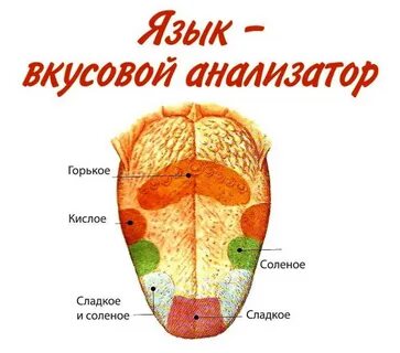Пограничная область языка