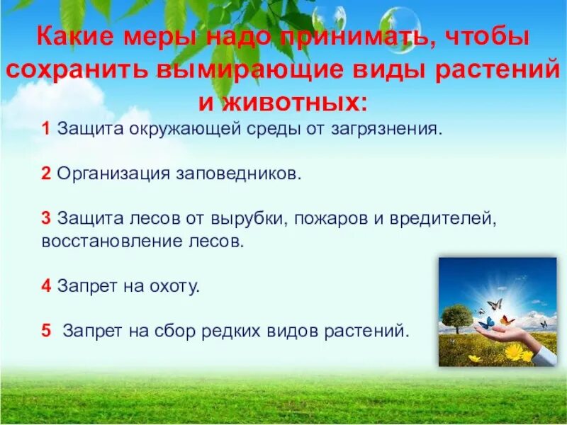Сохранение исчезающих видов растений. Меры охраны редких растений и животных занесенных в красную. меры для охраны растений и животных красной книги. меры охраны животных и растений из красной книги. меры по охране исчезающих растений и животных.