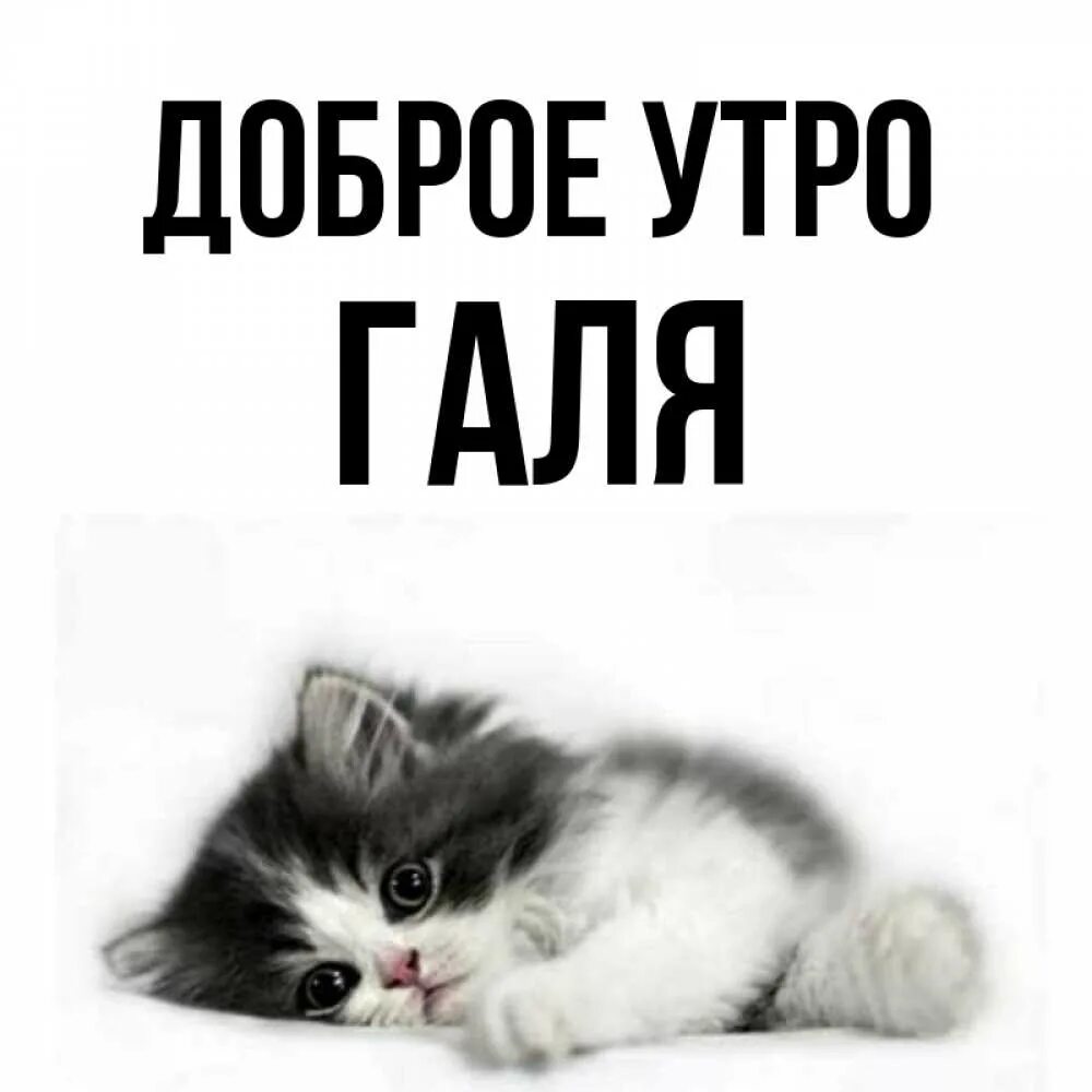 Pin de Людмила Криворучко en Доброе утро Saludos de buenos dias, Saludos d bueno