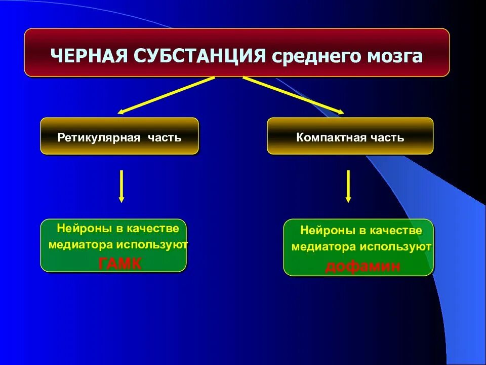 Субстанция функции. Субстанция функции