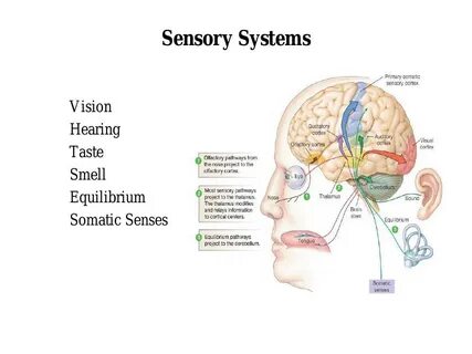 Primary system