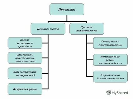 Какие признаки глагола у причастия 7 класс