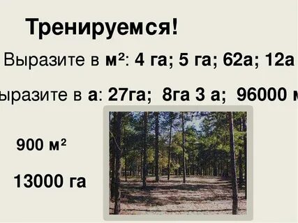 1 квадратный километр на карте