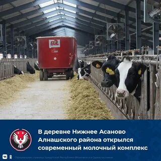 Погода в нижнем асаново