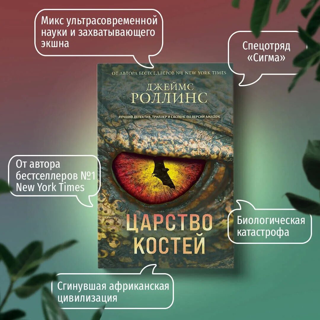 Книга сигма роллинс