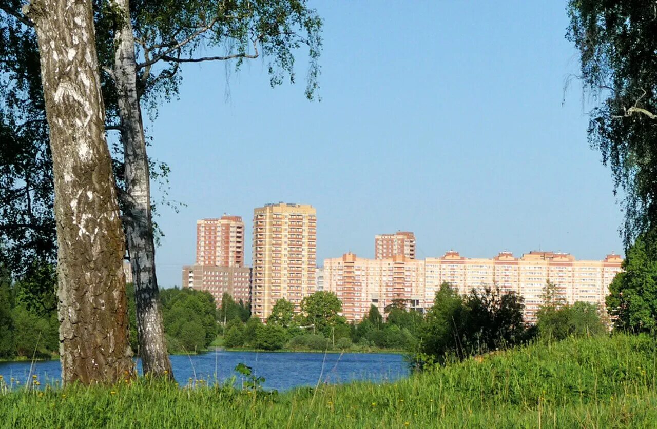 Наукоград фрязино. Фрязино центр города. Фрязино центр города. Наукоград фрязино. Ул нахимова д 14а фрязино.