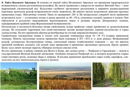 В тайге русской равнины распространены леса