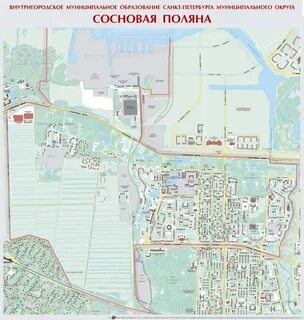 Мо сосновая поляна
