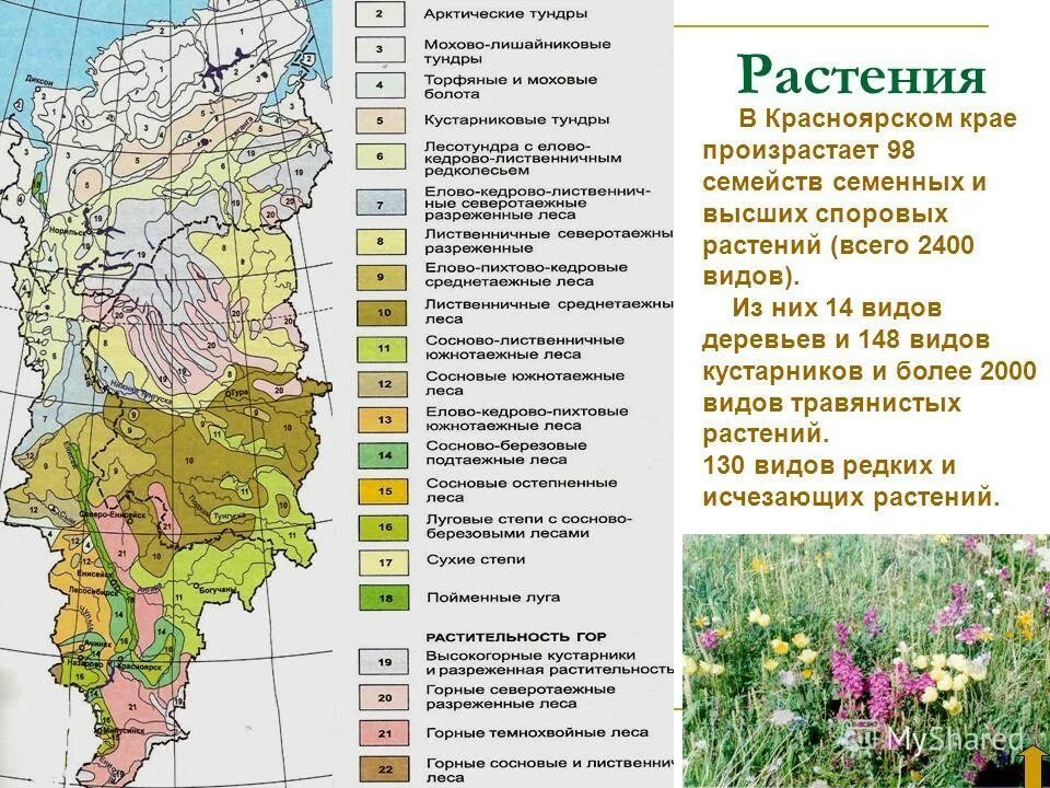 Какая природная зона в красноярском крае. Карта почв Красноярского края по районам. Природно климатические зоны Красноярского края карта. Карта типов почв Красноярского края. Карта природных зон Красноярского края.