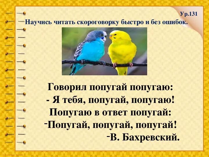 Скороговорка про попугая. Попугай попугай попугаю скороговорка. Скороговорка про попугая для детей. Говорил попугай попугаю я тебя попугай попугаю. Попугай попугаю скороговорка