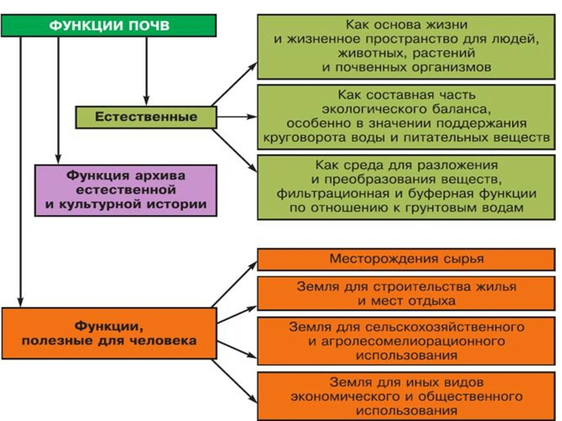 Какие функции выполняет почва. Функции почвы. экологические функции почв. основные функции почвы. основные экологические функции почвы..