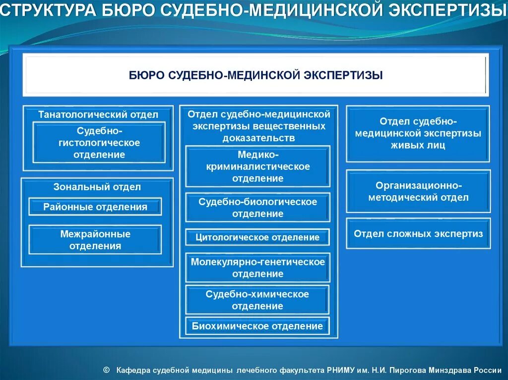 Государственные экспертные учреждения россии. Структура краевого бюро судебно-медицинской экспертизы.. Структура подразделений бюро судебно-медицинской экспертизы схема. Структура отделов судебно медицинской экспертизы. Состав областного бюро судебно медицинской экспертизы.