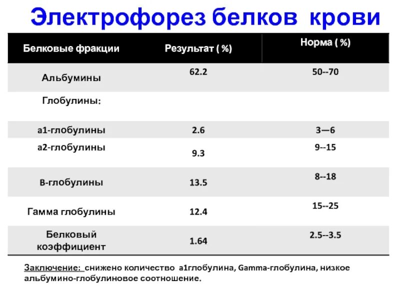 Норма общего белка сыворотки. Соотношение альбуминов и глобулинов в крови норма. Электрофорез белковых фракций крови норма. Электрофорез белков крови норма. Норма содержания глобулинов в крови.