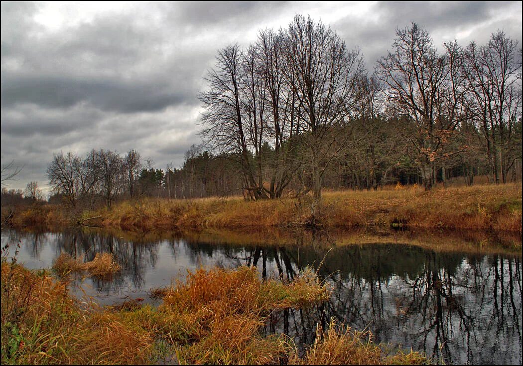 весенний пейзаж. поздней д. поздняя осень. поздней д. деревня русский лем пермский край.