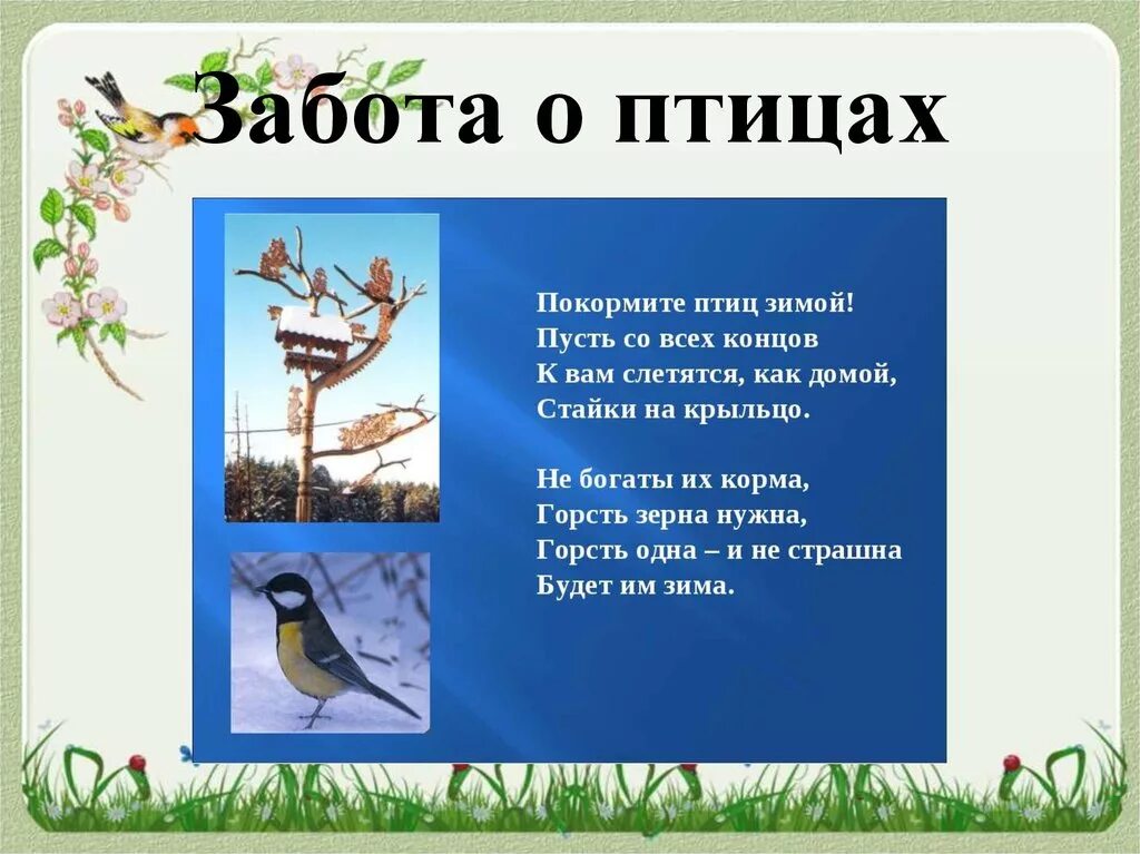 Стихотворение о заботе. Забота о птицах. Стихи про птиц. Забота о птицах зимой. Как человек заботится о птицах.