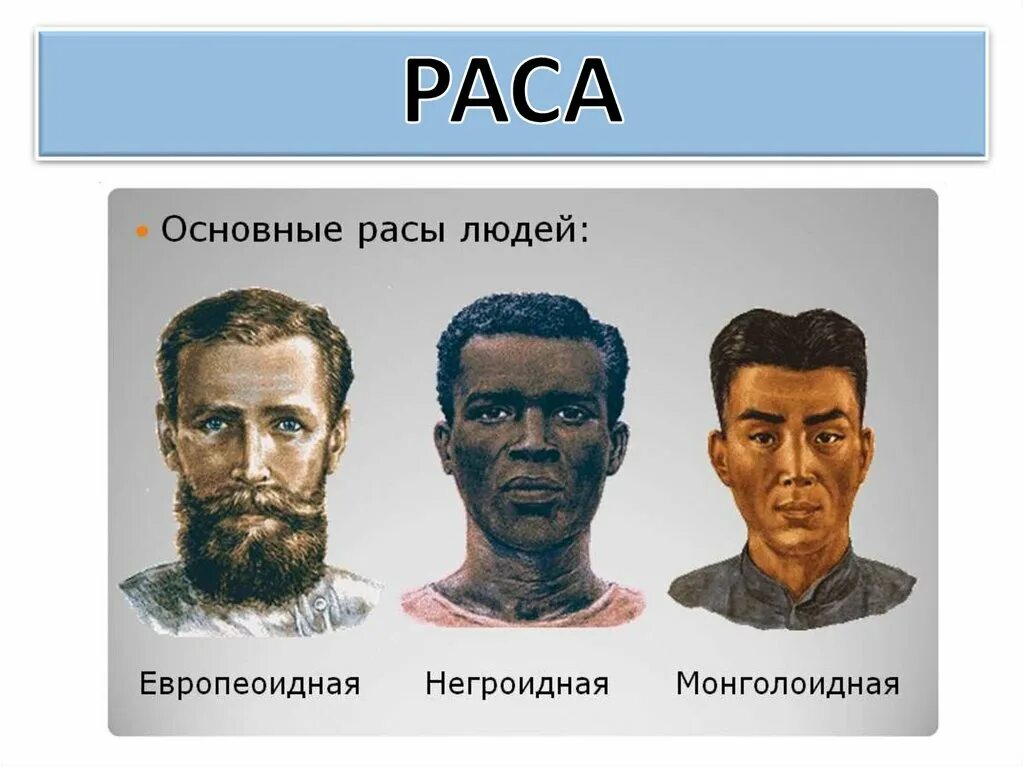 Расовые различия людей. Расы людей. Человеческие расы. Основные расы. Основные расы людей.