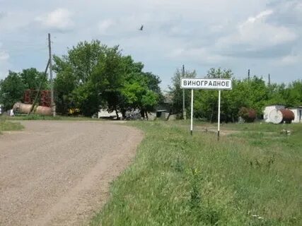 Виноградное калмыкия