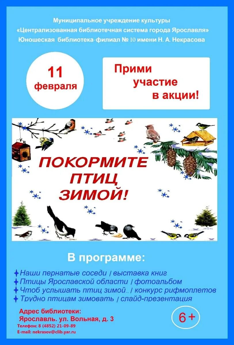 Акция Покормите птиц зимой. Акция Накорми птиц зимой. Акция Покорми птиц. Акция птицы зимой.