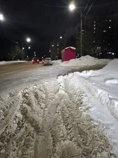 Дорожник радужный