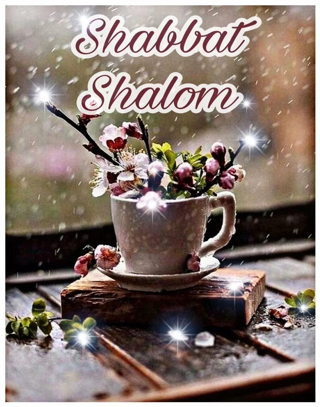 Шабат шалом открытки супер красивые. Открытки шаббат шалом. Хорошей субботы шабат шалом. Шабат прикол. Шабат шалом.