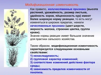 Ненаследственная изменчивость нормы реакции