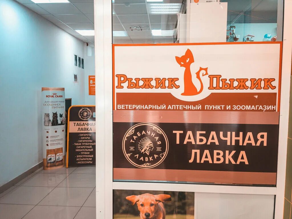 Рыжик пыжик