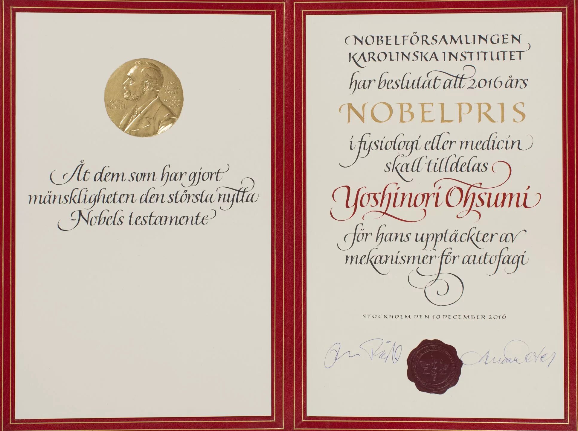 Нобелевская премия сертификат. Нобелевская премия живаго
