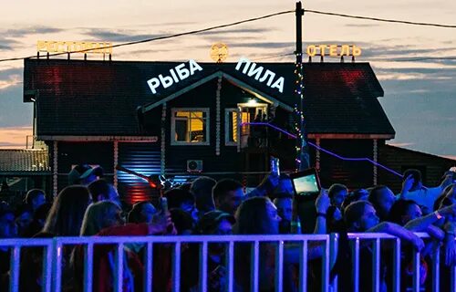 Рыба пила аренда. Мелкозубый пилорыл. Рыба пила аренда. Рыба пила пила. Рыба-пила.