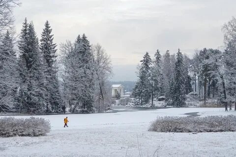 Монрепо когда закроют на просушку