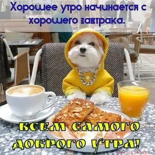 Картинки про утро с надписями прикольными