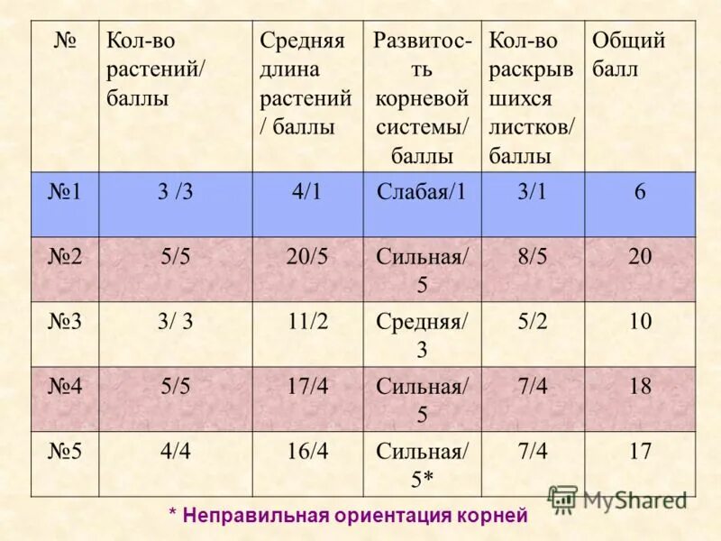 баллы на коле