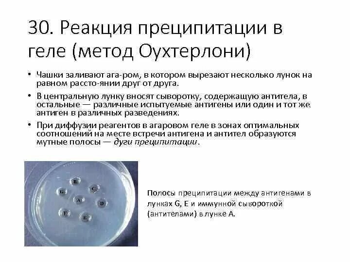 Реакция преципитации в геле применяется для: найдено 71 изображений
