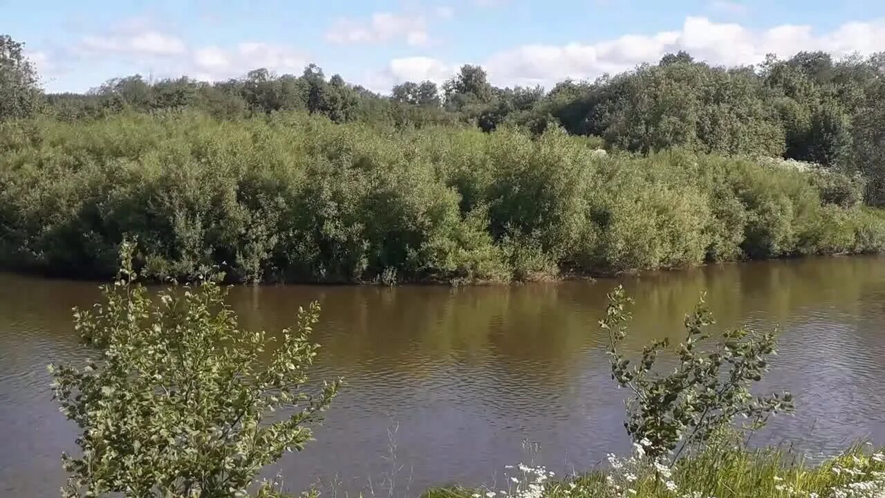 Исток реки Лысьва Пермский край. Река Лысьва. Лысьва речка. Караськино озеро Лысьва. Лысьва куда