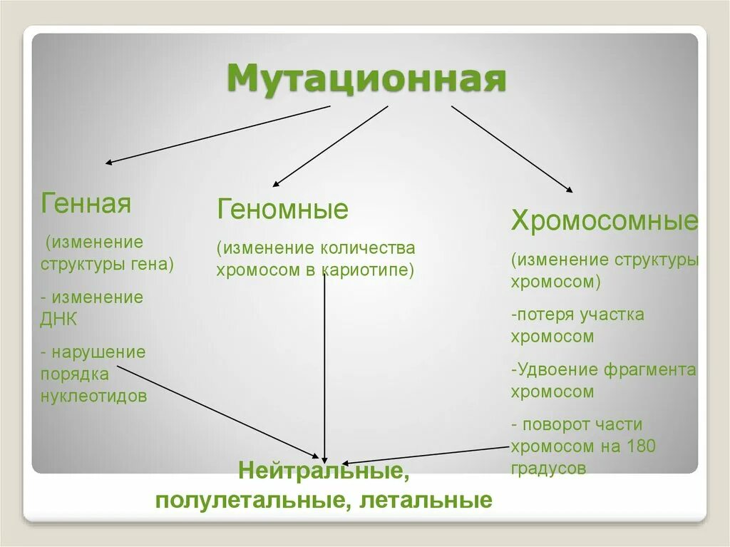 Приведите примеры мутационной изменчивости. Формы мутационной изменчивости. мутационная изменчивость и ее виды. виды мутационной изменчивости. причины и виды мутационной изменчивости.