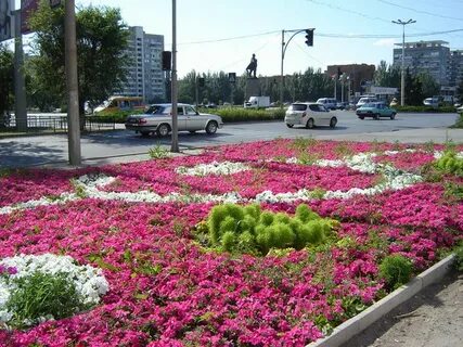 Цветет волжский