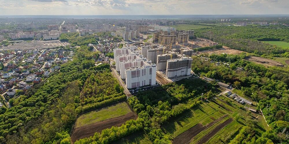 Ботанический сад воронеж фото YugNash.ru