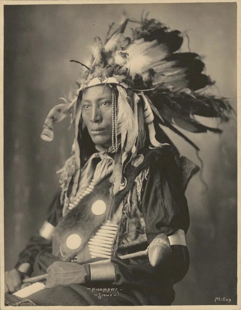 Племя сиу. Племя Сиу индейцы. Индеец племени Дакота. Индейцы Сиу Дакота. Вождь индейцев Сиу.