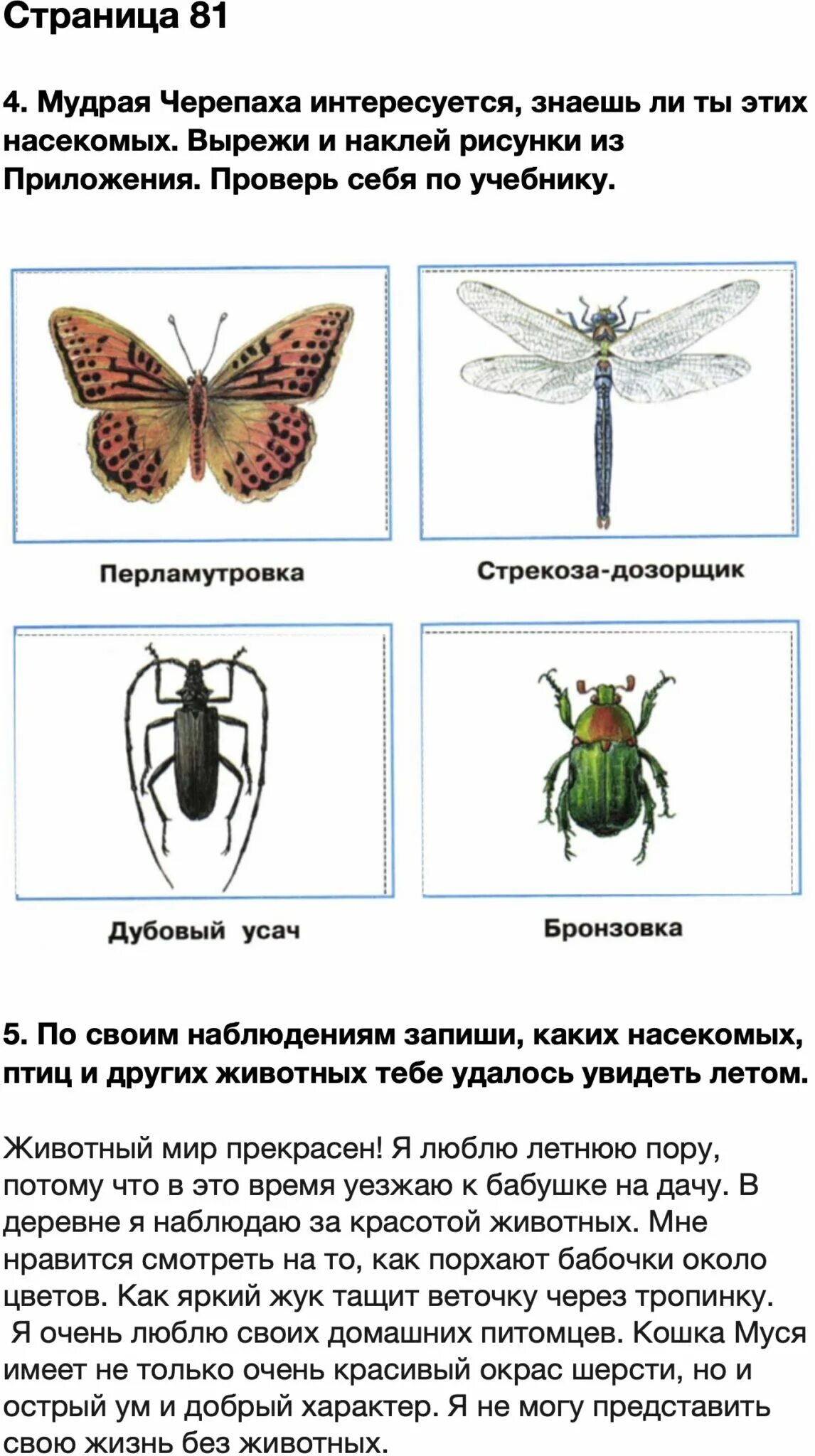 Окружающий мир 2 класс рабочая тетрадь страница 81. Окружающий мир страница 81 класс рабочая тетрадь 2 часть. Окружающий мир 2 класс рабочая тетрадь 2 часть Плешаков. Гдз окружающий мир 2 класс рабочая тетрадь 2 часть Плешаков.