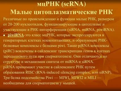Малые рнк