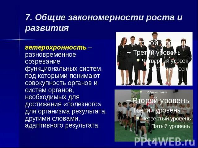 Гетерохронность представляет собой. Гетерохронность представляет собой