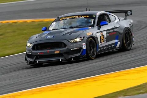 Gt4 gold