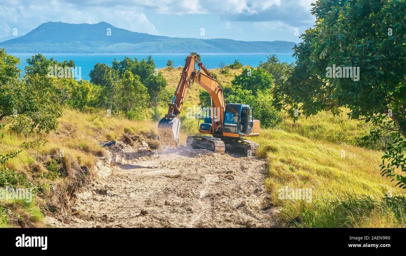 Clearing land. Land clearing. Cleared Land.