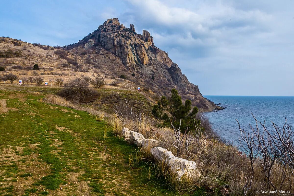 Поселок курортное Карадаг. Поселок курортное Феодосия. Поселок курортное Коктебель Крым. Сайт поселение крым