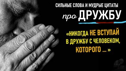 Мудрая дружба
