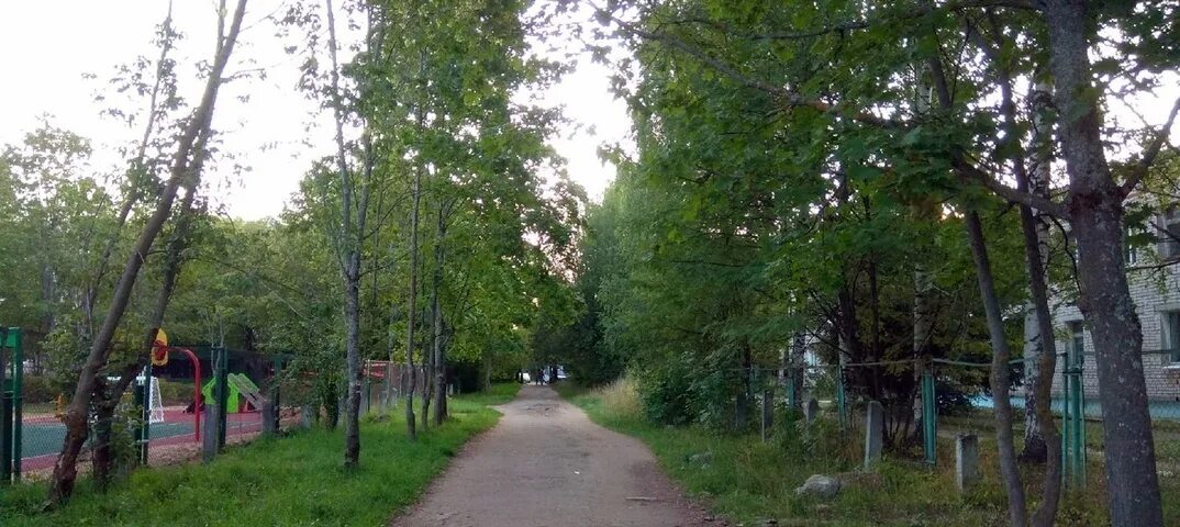 Сад Чкаловская. Садик на Чкаловском Кинешма. Детский сад Чкаловск. Фото Пановского сада. Чкаловский кинешма